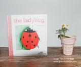 The Ladybug