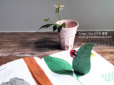 The Ladybug