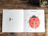 The Ladybug